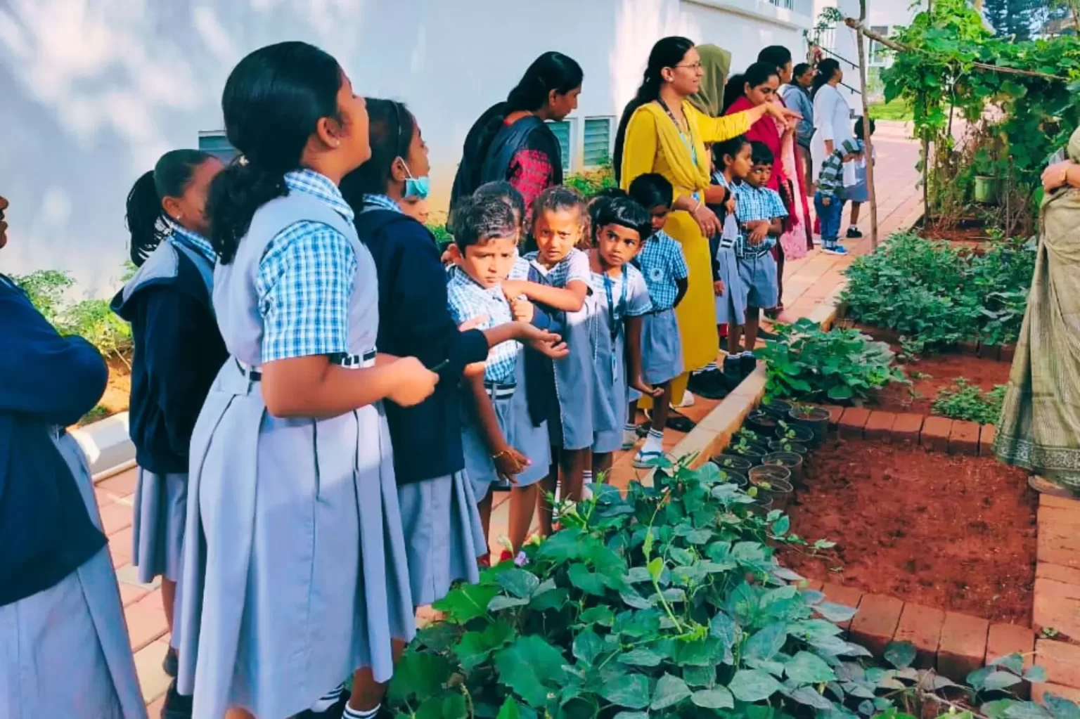 Koshys-Kitchen-Garden